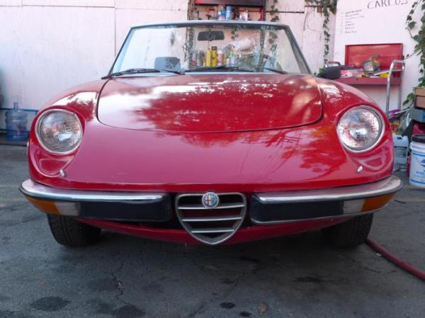 1971 Alfa Romeo Spider