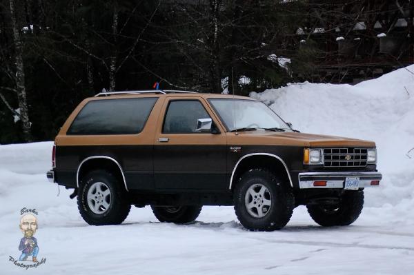 Chevrolet S-10 Blazer 1983 #2