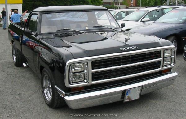Dodge D150 1979 #1