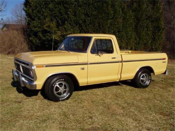 Ford F100 1975 #2