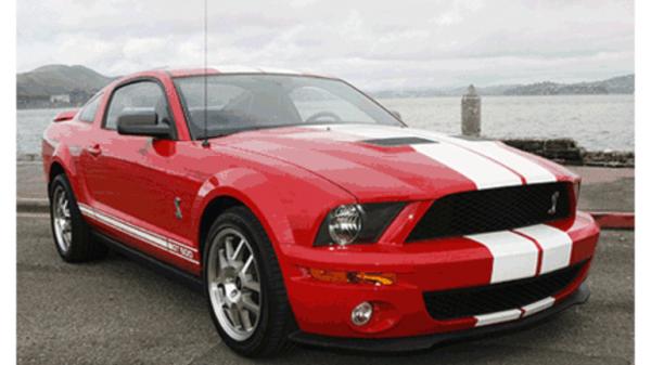 Ford Shelby GT500 2007 #3
