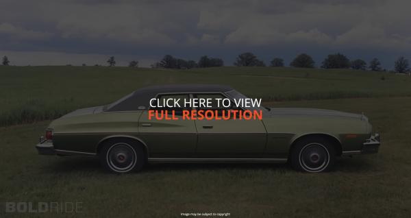 Ford Torino Brougham #2