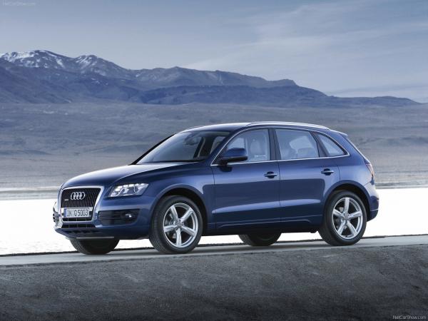 Impressive efficiency of Audi 2009 Q5