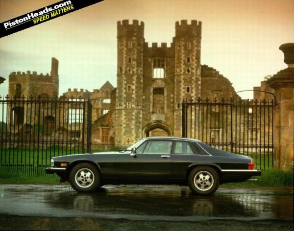 Jaguar XJS 1981 #1