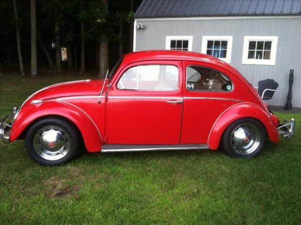 Volkswagen Beetle (Pre-1980) 1964 #3